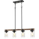 Taos Island Chandelier Ceiling Light